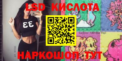 прущие грибы Ковров