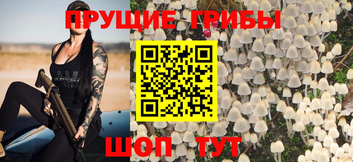 Псилоцибиновые грибы ЛСД Железноводск